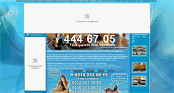 Desktop Screenshot of niluferevdenevenakliyat.net